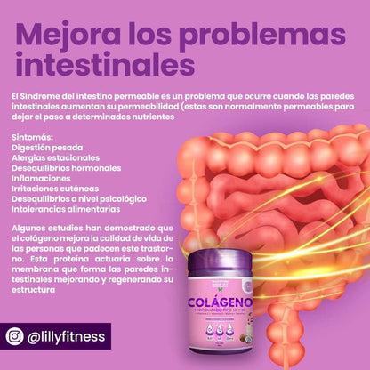 Colágeno Hidrolizado Tipo I II III 500g con Biotina y Tiamina | Trinity Elevate